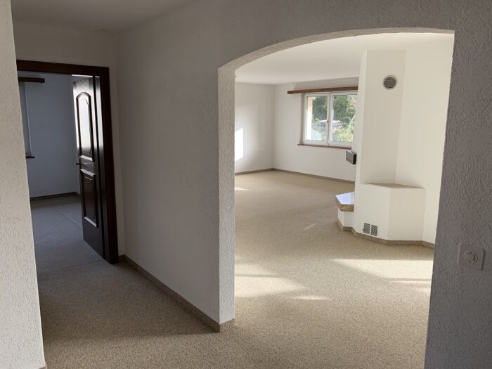 EFH Blick ins Wohnzimmer